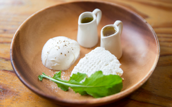 【東京咖啡廳】在涉谷製作日本第一新鮮起司的名店-“SHIBUYA CHEESE STAND” 東京美食、東京咖啡廳、