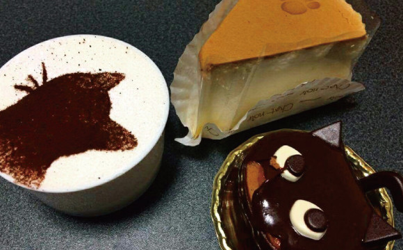 就是喜歡貓!種類豐富的貓咪造型甜點  大阪「Chat Noir」 東京美食、