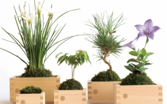 日本職人×世界設計師。傳統工藝新魅力選貨店「わとな WATONA」將在日本橋期間限定開幕！ 伝統、