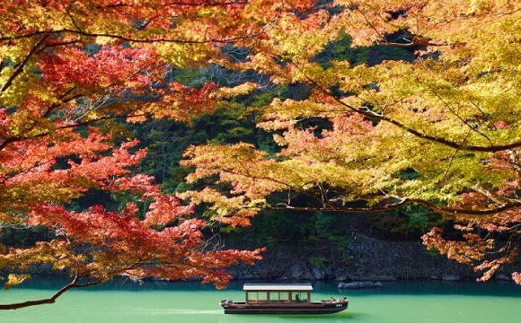 【虹夕諾雅 京都】 坐在船上欣賞楓葉的「早晨的楓葉船」企劃 在京都、