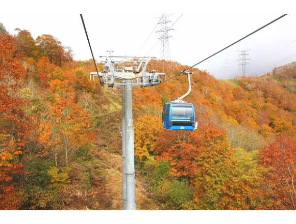 新潟縣難於沼郡・苗場周邊的楓葉現在正當紅 在新潟、