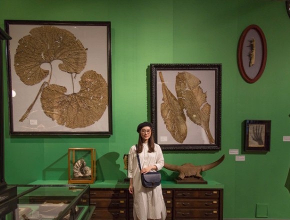 藝術、動畫，甚至是相撲 可以免費參觀的6間推薦東京博物館・畫廊 在東京、畫廊、