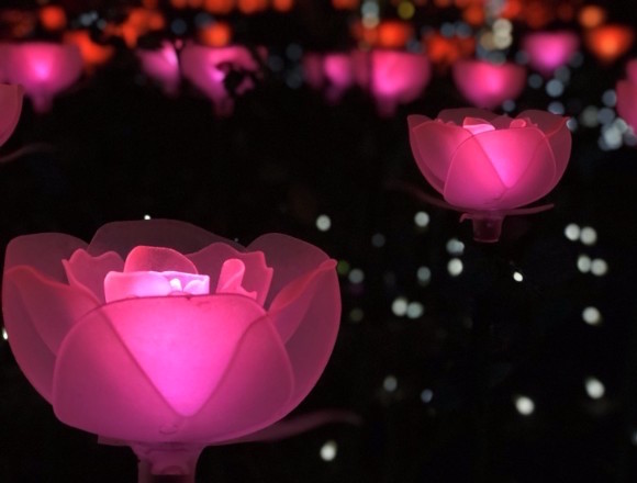 明明在戶外卻不覺得冷！？於九州舉辦的7個彩燈秀2017 聖誕點燈、