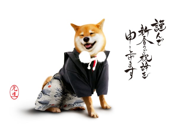 柴犬MARU擔任宣傳戌年年賀狀的“Adobe特命宣傳部長” 年賀狀、柴犬MARU、
