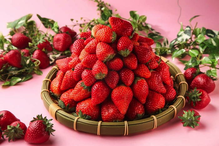 上野的餐廳「大地的贈禮」將舉辦草莓祭！還有甘王草莓吃到飽 在上野、餐廳、