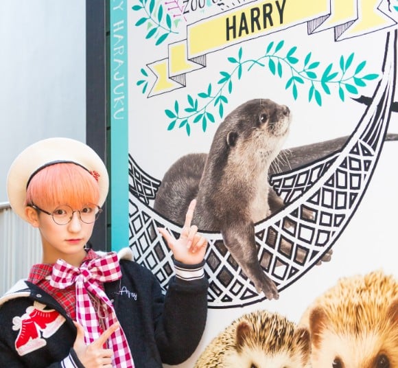 TEMPURA KIDZ P→★的動物咖啡廳日記#1 可以跟水獺近距離接觸的咖啡廳「HARRY 原宿terrace店」 動物咖啡廳、在原宿、