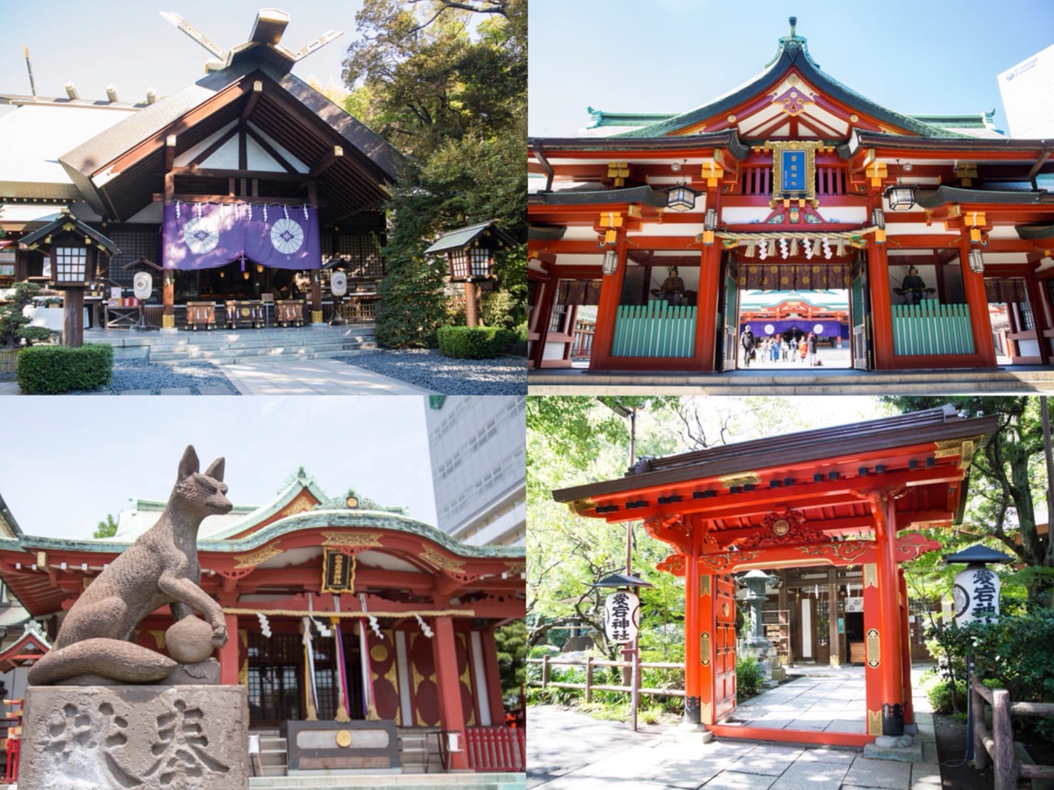 求戀愛、飛黃騰達、開運都來這吧！MMN推薦的5間東京神社＆御朱印 東京散步、