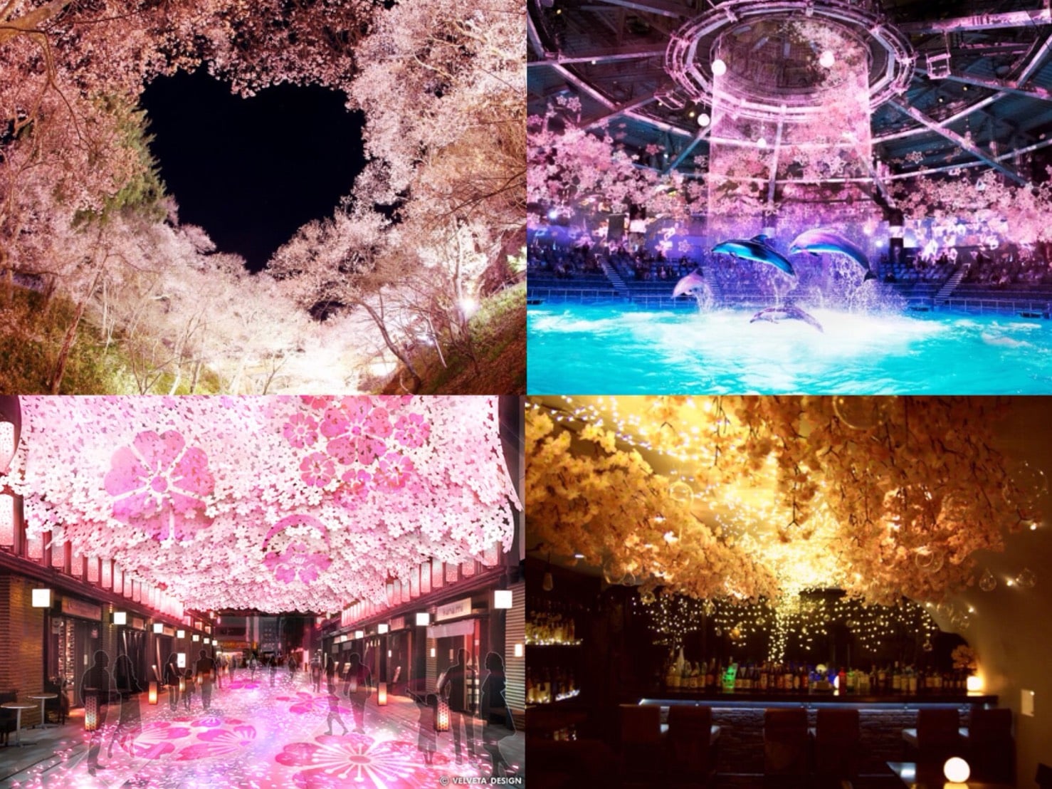 從每年慣例的櫻花祭到科技賞櫻都有！？2018日本賞櫻活動6選 在東京、櫻、