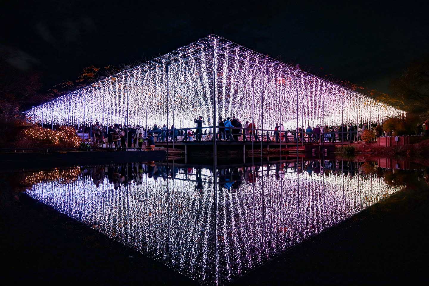 【櫪木】世界上最美的紫藤花園！冬天的「足利花卉公園」也染上鬼滅之刃的色彩 