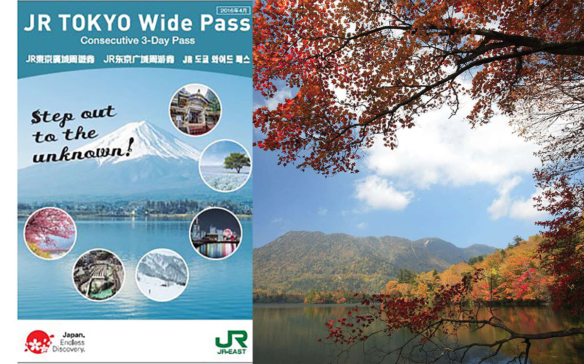 【日光篇】如何用「JR TOKYO Wide PASS」輕鬆玩遍所有景點？推薦路線、行程大公開！ 
