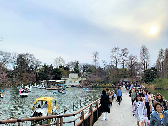 深入吉祥寺！你不會想錯過的在這裡必做的15件事 