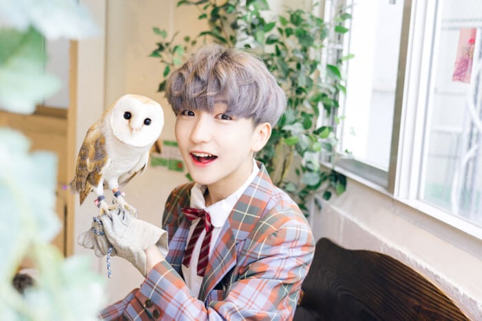 TEMPURA KIDZ P→★的動物咖啡廳日記 #2 可以接觸到貓頭鷹＆老鷹的原宿「Owl’s Garden」 動物咖啡廳、在原宿、