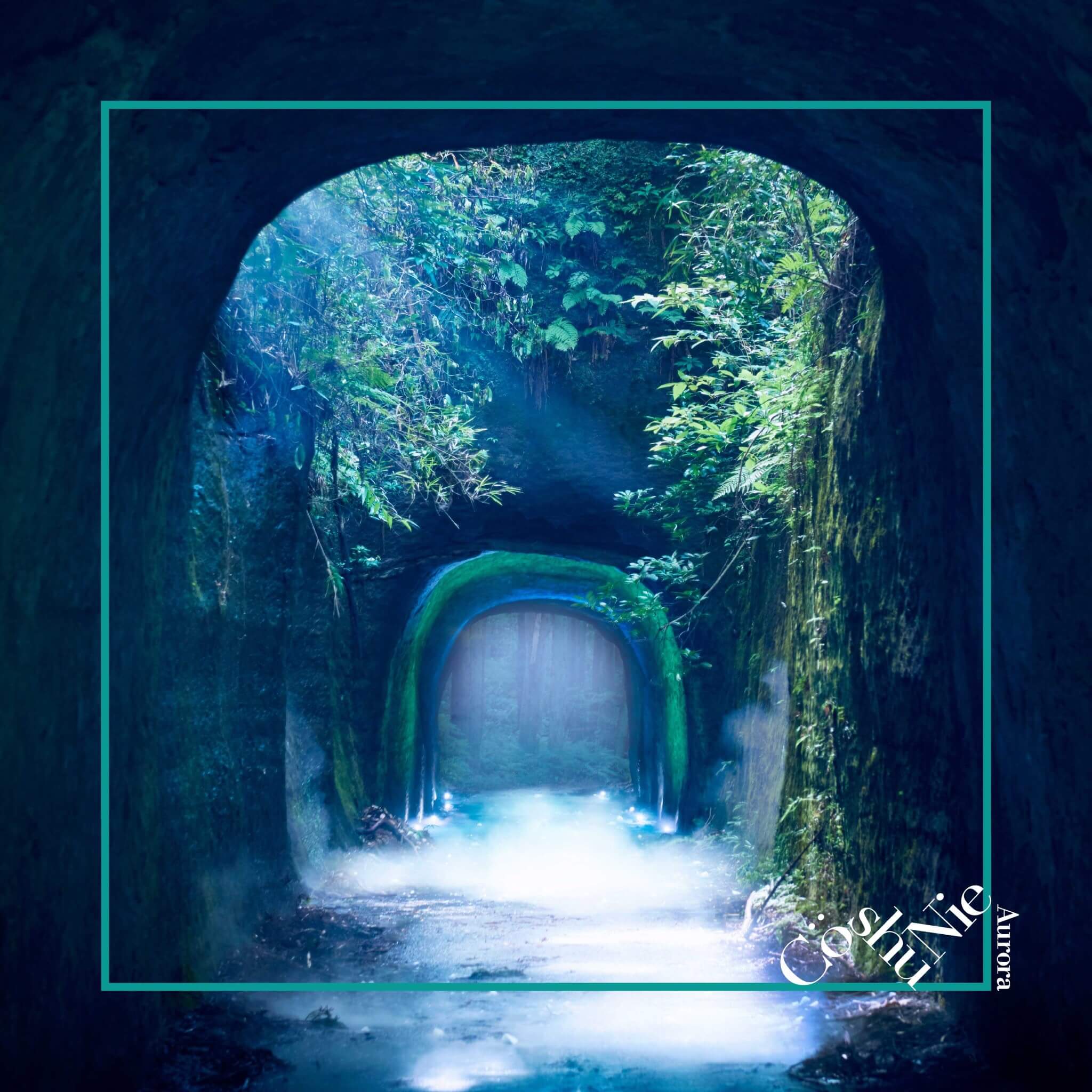 Cö shu Nie、迷你專輯「Aurora」收集情報發表 Cö shu Nie、