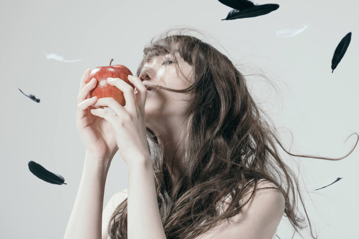 Aimer新歌決定成為《Fate/stay night [Heaven’s Feel]》主題曲 Aimer_、