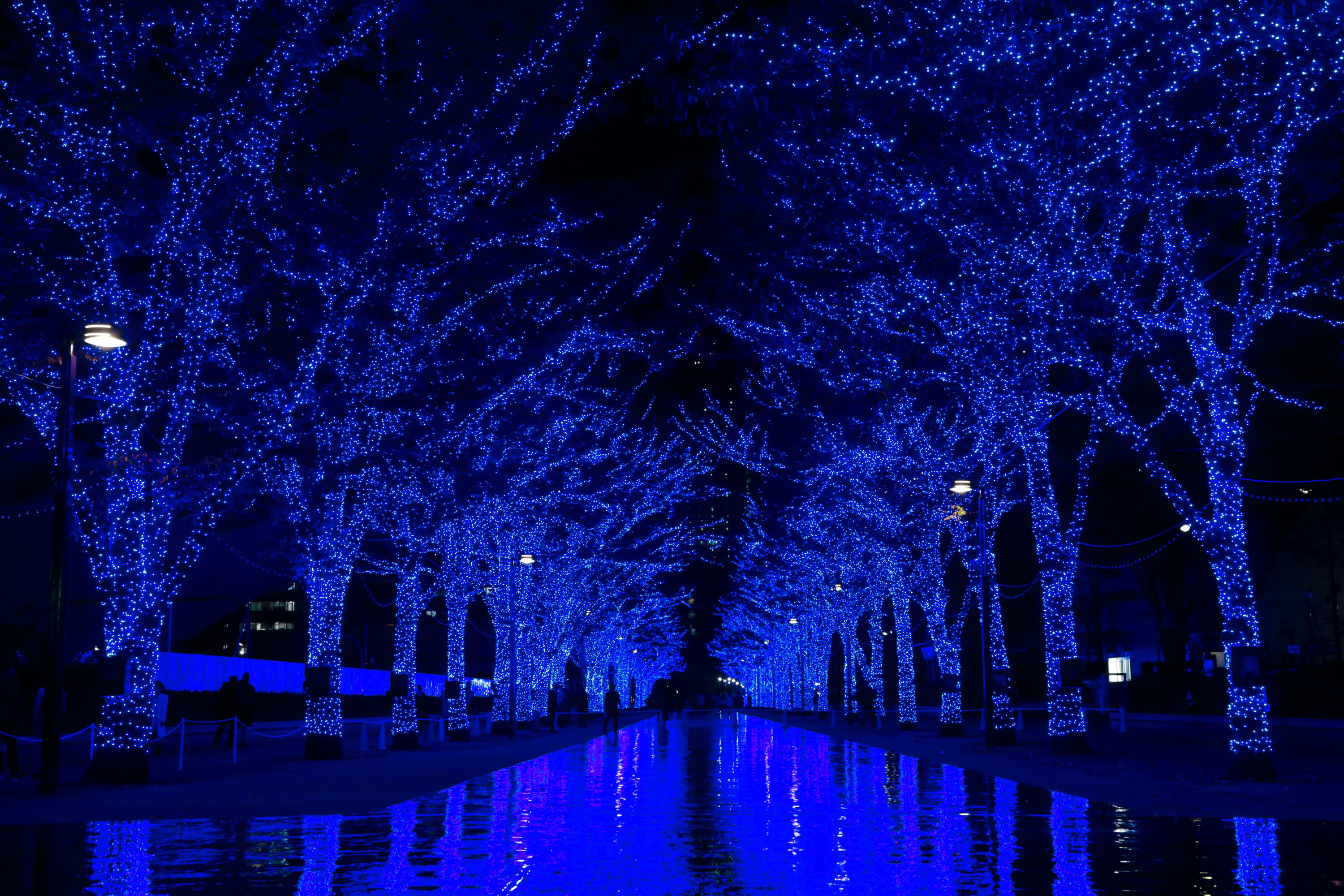 光與音樂交織而成的迷幻燈飾展！澀谷公園通「青之洞窟 SHIBUYA 」 澀谷、燈飾、