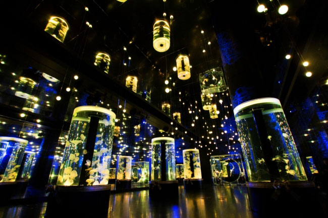 「Maxell Aqua Park品川」—距離品川站只要2分鐘的超棒私房觀光景點 