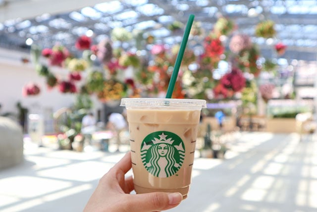 坐在溫室裡喝咖啡！【東京近郊】享受四周被花朵環繞的「星巴克咖啡HANA・BIYORI店」 