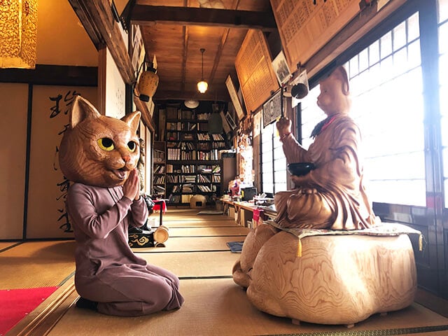 【山口】貓奴新聖地—雲林寺，山口縣萩市推薦旅行計畫 