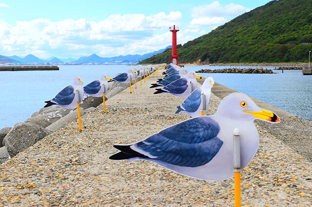 【香川】揭開女木島的神秘面紗之旅 